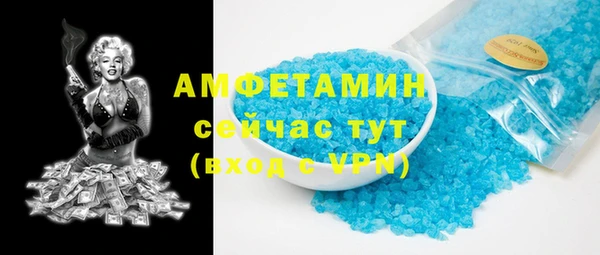 PSILOCYBIN Горняк