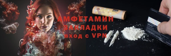 PSILOCYBIN Горняк