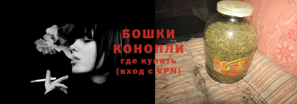 PSILOCYBIN Горняк