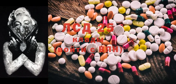 PSILOCYBIN Горняк