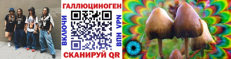 Купить где  Киселёвск  Псилоцибиновые грибы Magic Shrooms 