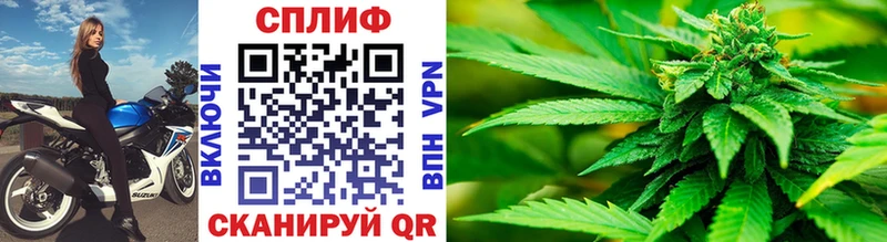 Купить закладки  Киселёвск  Каннабис White Widow 